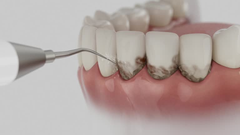 Reliable Dental contractor in Charlotte, NC by Dentist Open Now